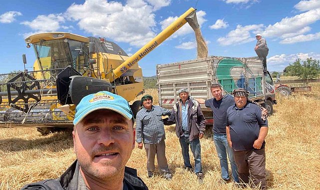 Aliağa'da 2025 yılı hububat hasatı başladı