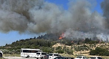 Aliağa'da bir orman yangını daha
