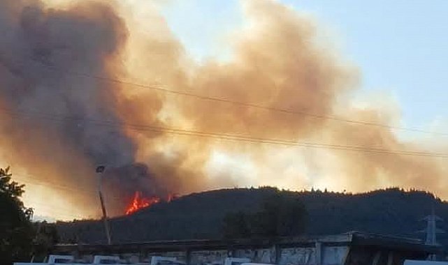 Aliağa'daki orman yangıyla ilgili 1 kişi tutuklandı