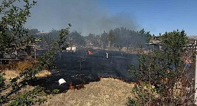 Ankara'da ot yangını korkuttu