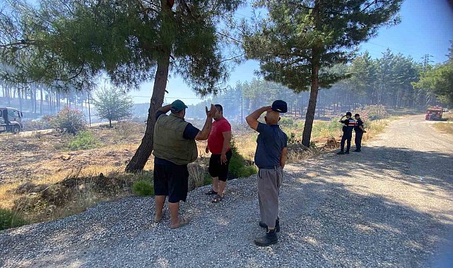 Antalya Aksu'da orman yangını kontrol altına alındı