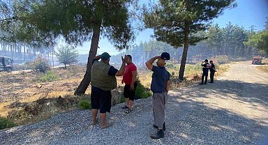 Antalya Aksu'da orman yangını kontrol altına alındı