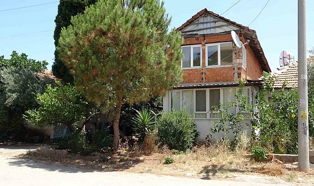 Antalya'da kötü kokuların yayıldığı ev hayvanseverleri ayağa kaldırdı