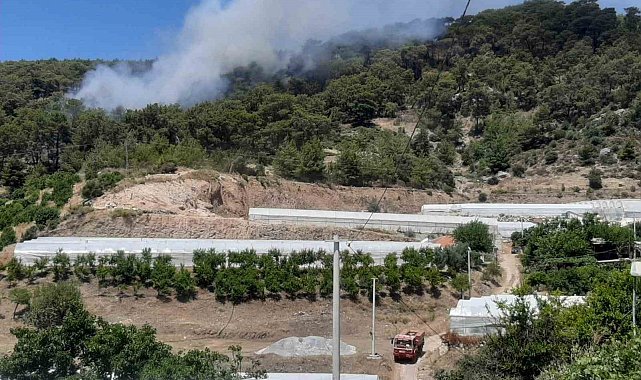 Antalya'da orman yangını