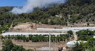 Antalya'da orman yangını