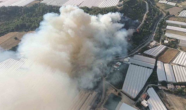 Antalya'da orman yangını