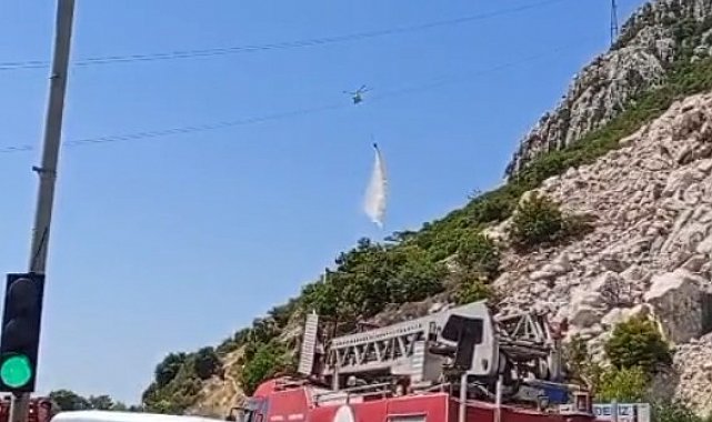 Antalya'da ormanlık alanda yangın