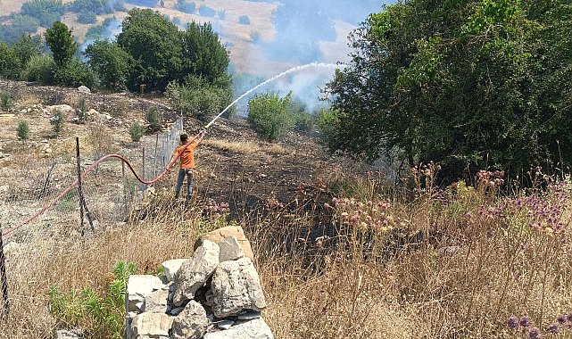 Antalya'da ormanlık alanı tehdit eden yangına müdahale ediliyor