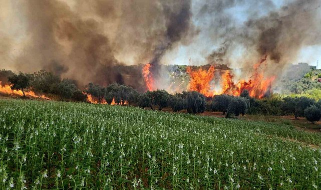 Antalya'da ormanlık ve kırsal alanda çıkan yangın kontrol altına alındı