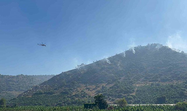 Antalya'daki orman yangını 3 saatte kontrol altına alındı