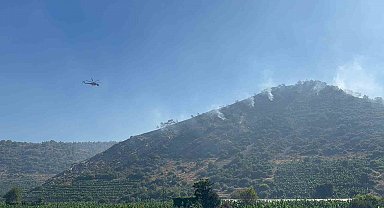 Antalya'daki orman yangını 3 saatte kontrol altına alındı