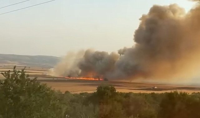 Araban Ovası'nda buğday tarlalarında yangın: 500 dönüm ekili alan kül oldu