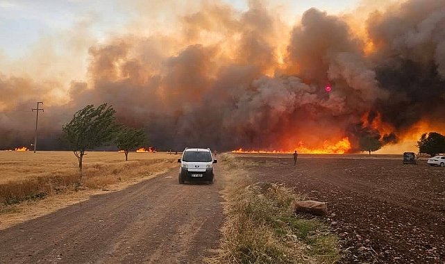 Araban Ovası'ndaki yangınların hasar tespit çalışmaları tamamlandı