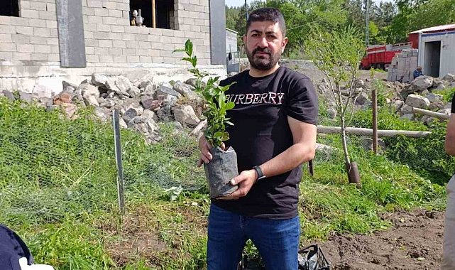 Ardahan'da bir ilk; Çay kökleri toprakla buluştu