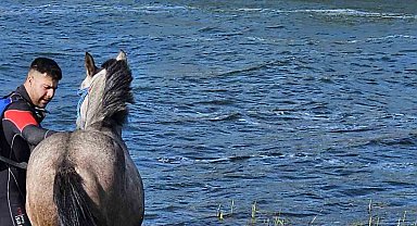 Ardahan'da mahsur kalan atı kurtarma operasyonu