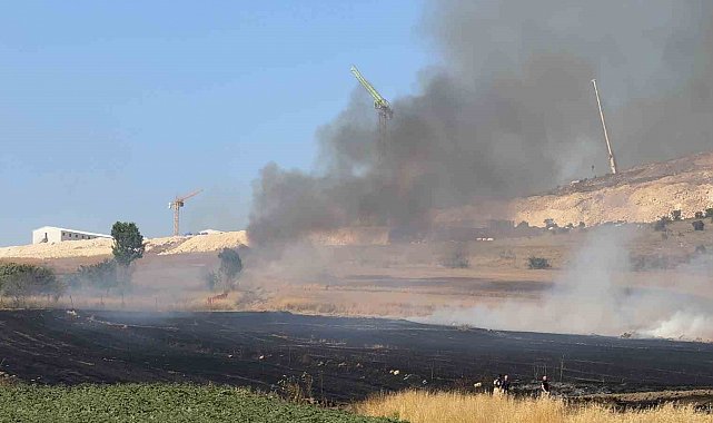 Arnavutköy Sazlıbosna'da tarım arazisinde yangın paniği