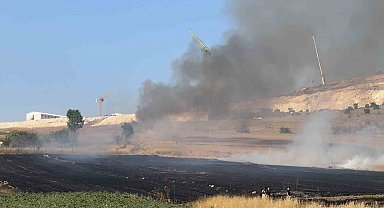 Arnavutköy Sazlıbosna'da tarım arazisinde yangın paniği