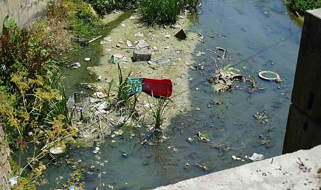 Arnavutköy'de kötü kokulu dere tepkisi