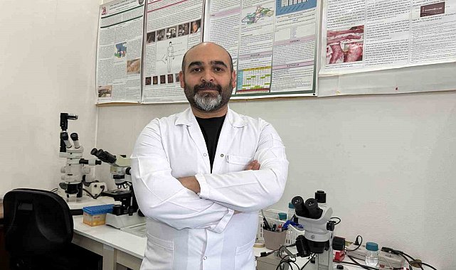 Asya kökenli kene için hastalık bulaştırma riski şimdilik yok, patojen taraması yapılacak