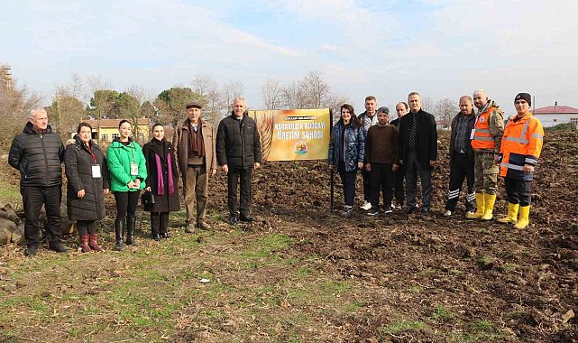 Atakum'da hayvancılık yapan ailelere yem bitkisi desteği