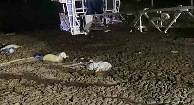 Atık dökülen alanda mahsur kalan koyunu itfaiyeciler kurtardı