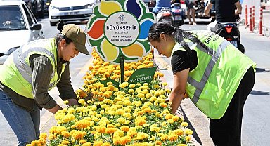 Aydın Büyükşehir'den Nazilli'de temizlik ve peyzaj çalışması
