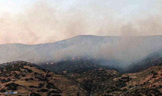 Aydın Efeler'deki yangına ekiplerin müdahalesi sürüyor