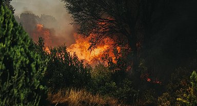 Aydın'da çiftçilere yangın uyarısı: Hasatta tedbirli olun