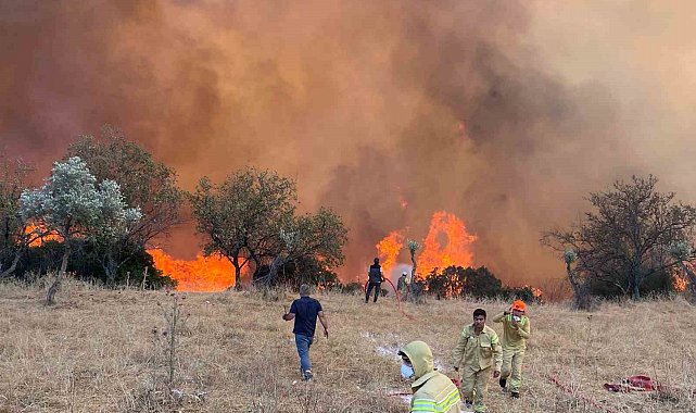 Aydın'da hafta sonu 11 yangın çıktı
