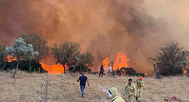 Aydın'da hafta sonu 11 yangın çıktı