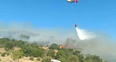 Aydın'da makilik alandaki yangın kontrol altına alındı