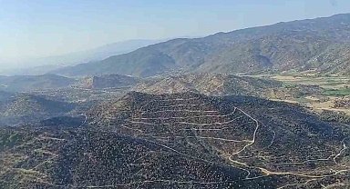 Aydın'daki yangın kontrol altına alındı