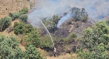 Aydın'daki yangınlar kontrol altına alındı