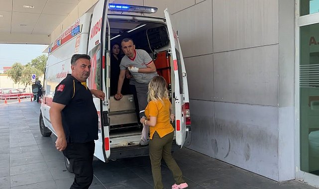 Aydın'ın acemi kasap bilançosu belli oldu