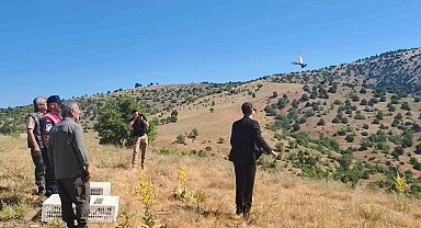 Aydıncık'ta 225 adet keklik doğaya salındı