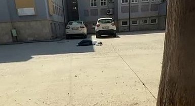 AYT oturumuna TYT belgesiyle geldi: Geleceği bir yıl ertelenen aday, baygınlık geçirdi