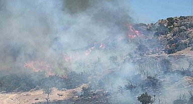 Ayvacık'ta makilik alanda çıkan yangın kontrol altına alındı