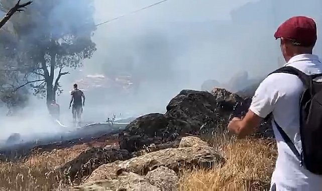 Ayvalık'ta orman yangını