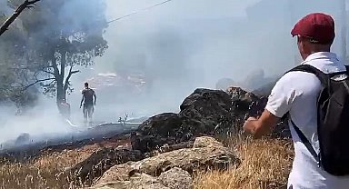 Ayvalık'ta orman yangını