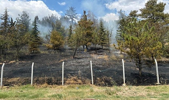 Babaeski'de çamlık alanda çıkan yangın söndürüldü