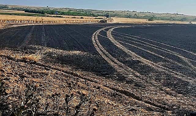 Babaeski'de yaklaşık 30 dönüm ekili buğday yandı