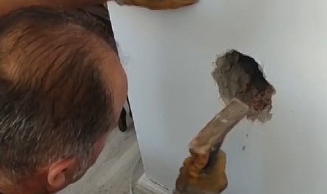 Bacada mahsur kalan kediyi itfaiye ekipleri kurtardı