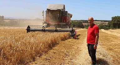 Bafra Ovası'nda hasat başladı: "Buğdaydan önce umutları biçiyoruz"