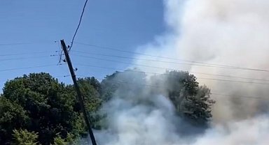 Bahçede çıkan yangın ormana sıçradı