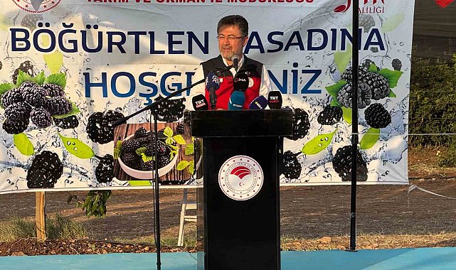 Bakan Yumaklı, Siirt'te böğürtlen hasadına katıldı
