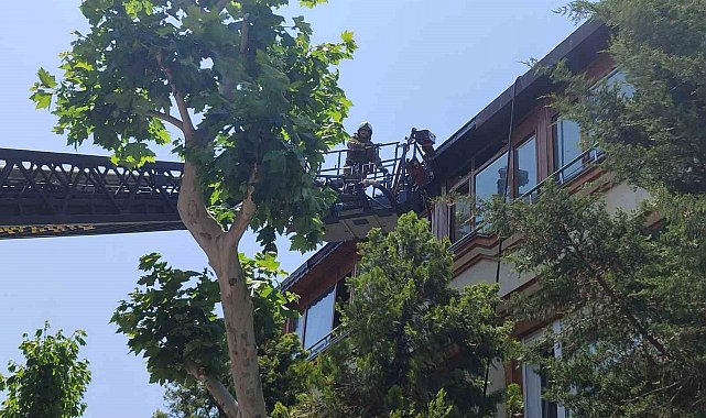 Bakırköy'de korkutan yangın