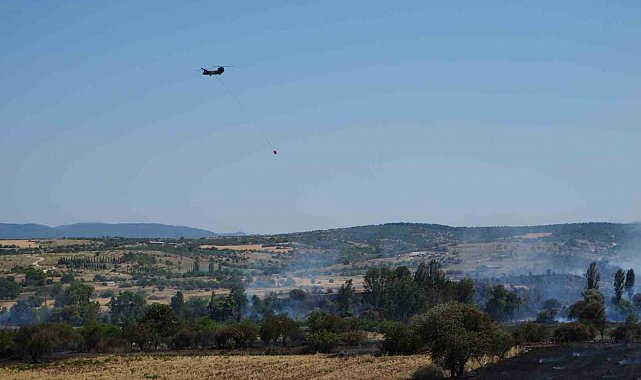 Balıkesir Pamukçu'da arazi yangınına müdahale ediliyor