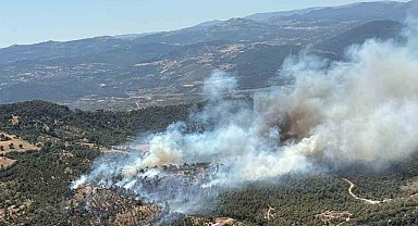 Balıkesir'de araziden ormana sıçrayan yangına müdahale sürüyor