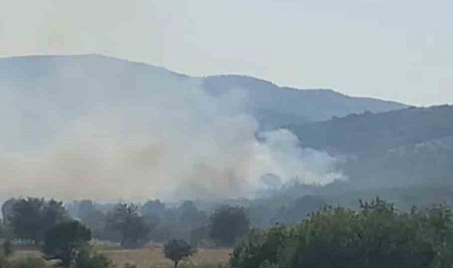 Balıkesir'de meralık alanda yangın