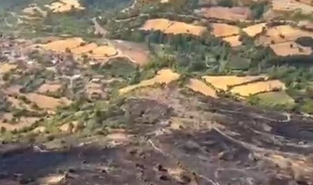 Balıkesir'de orman yangını kontrol altına alındı